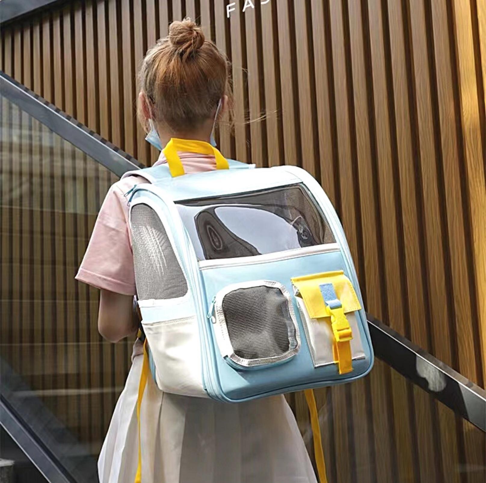 Back to School Clear Shoulder Bag Cat and Small Dog Carrier