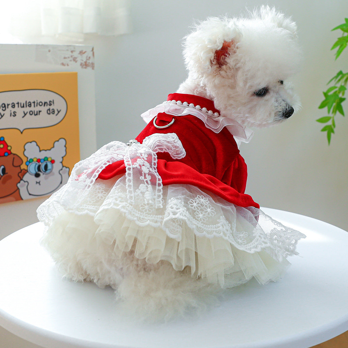 Velvet Lace Bowknot Dog Cat Dress