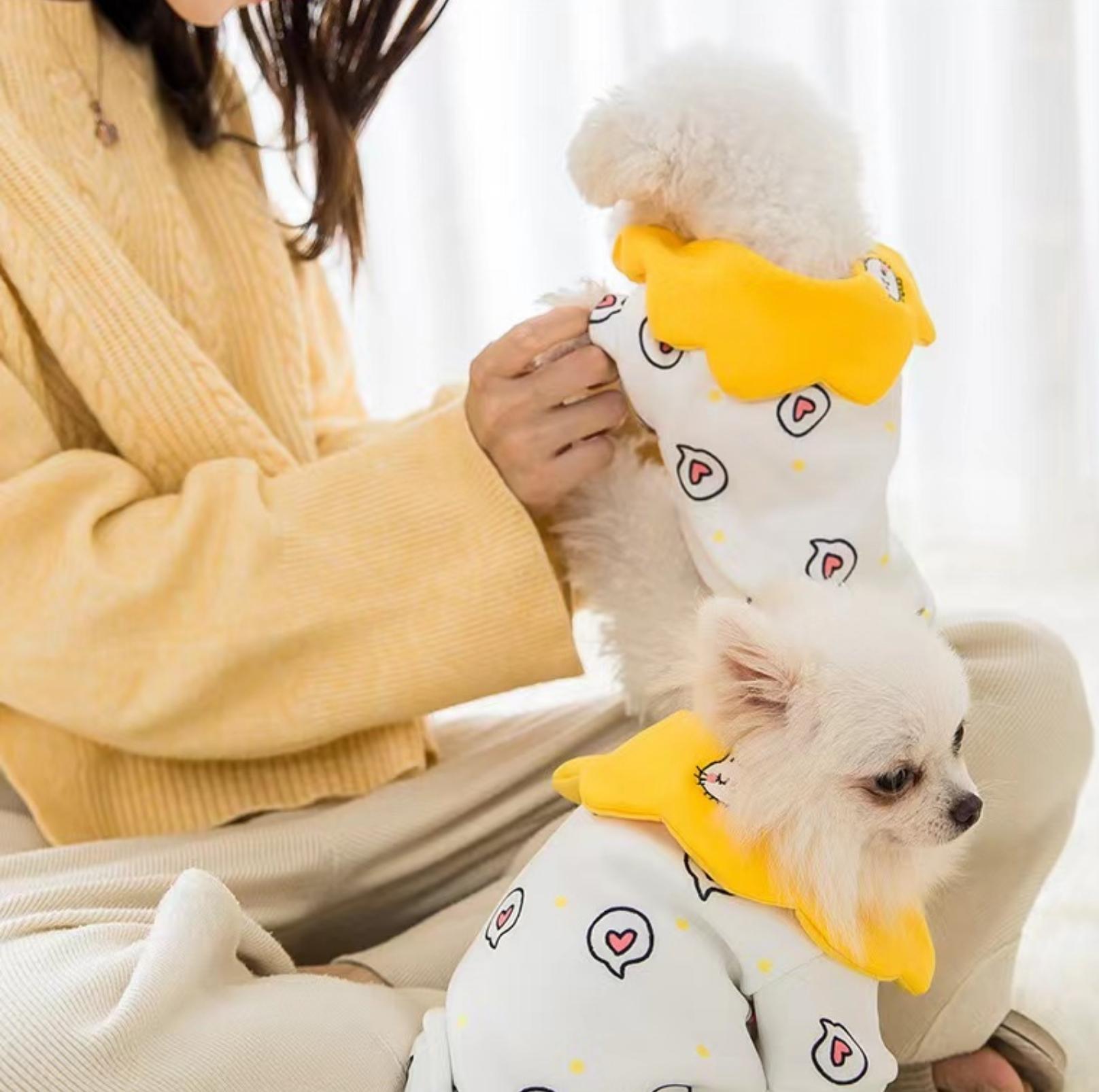 Spring Heart Dot Cartoon Pet Sweatshirt