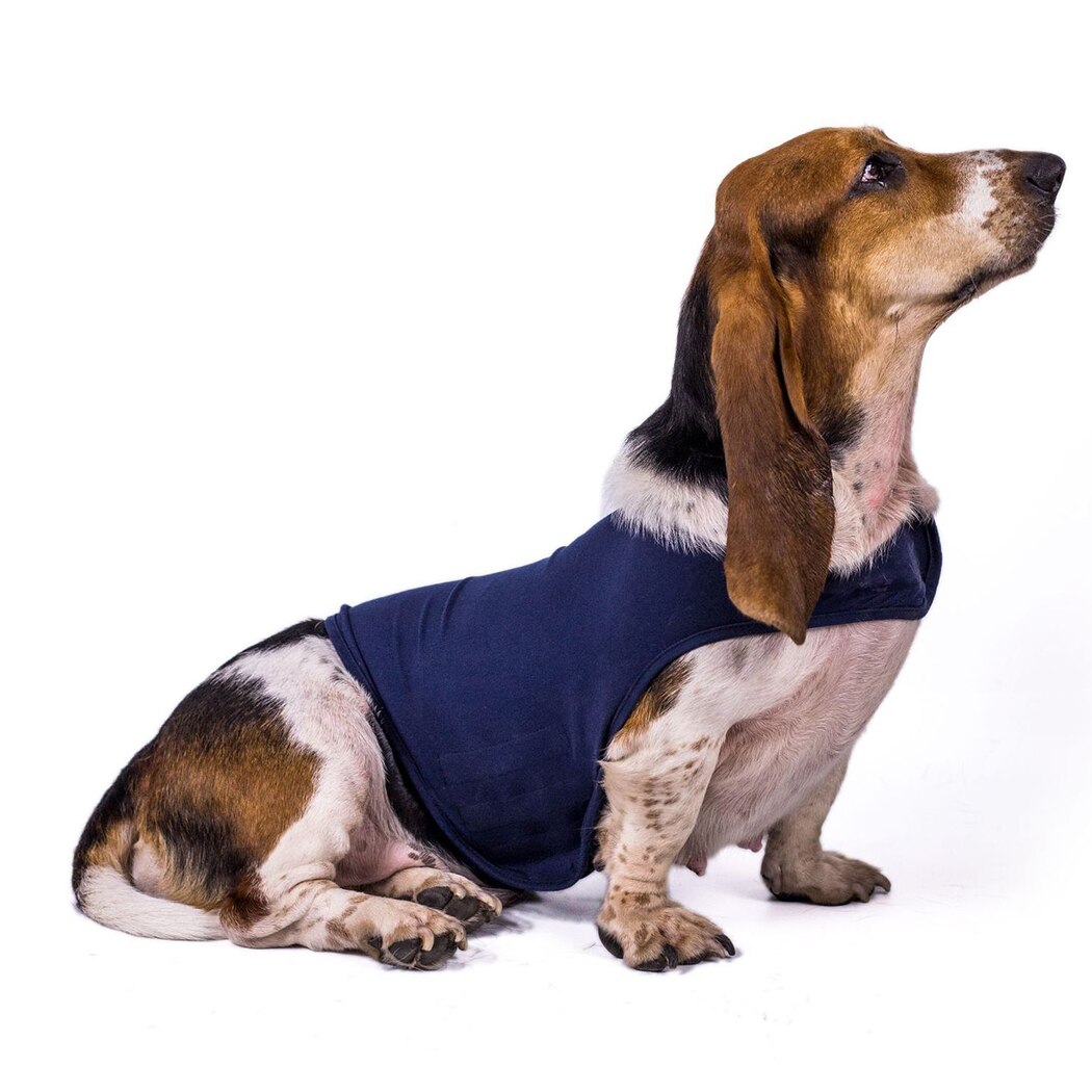 Vest For Dogs