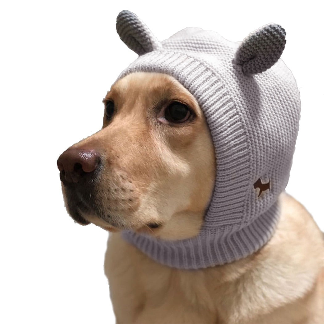 Knitted Hat For Dogs