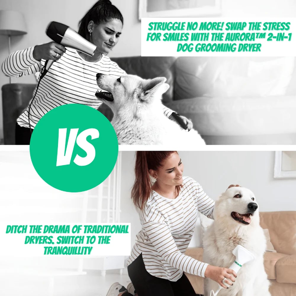 🔥2-in-1 Dog Grooming Dryer