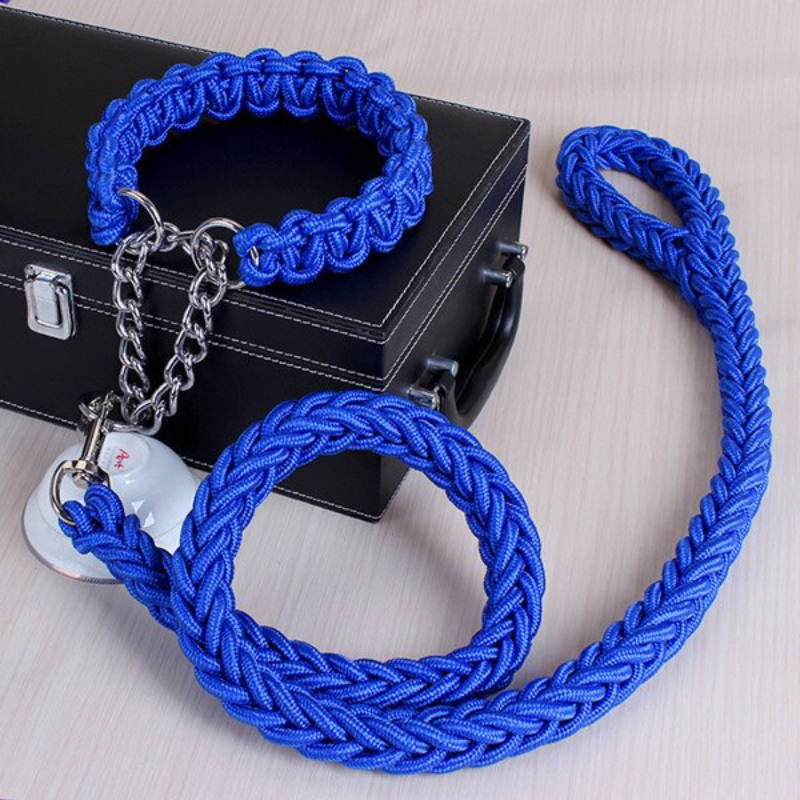 Dog Leash For Dog Collar