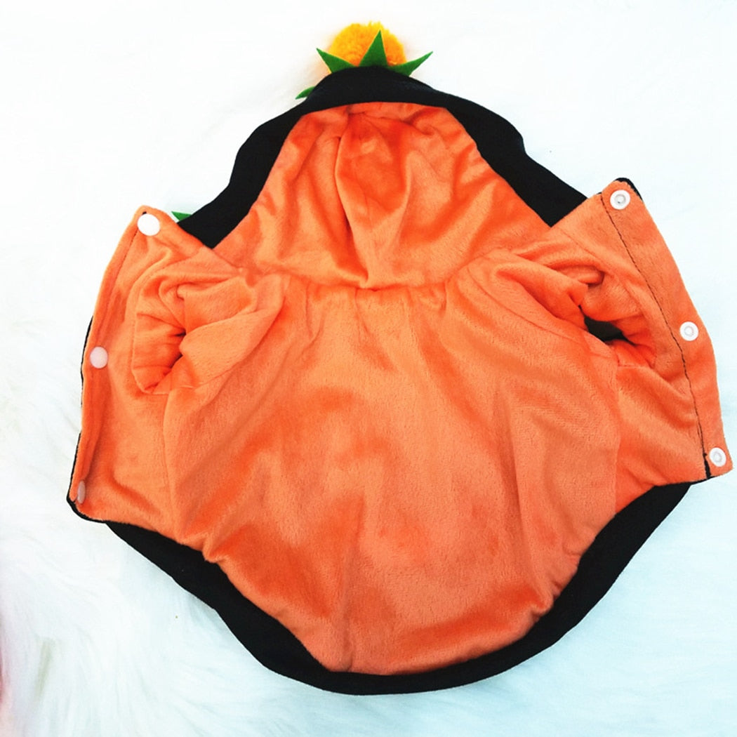 Halloween Hoodies For Dogs