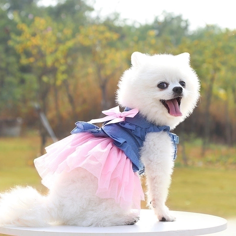 Princess Denim Bow Knot Pet Clothing