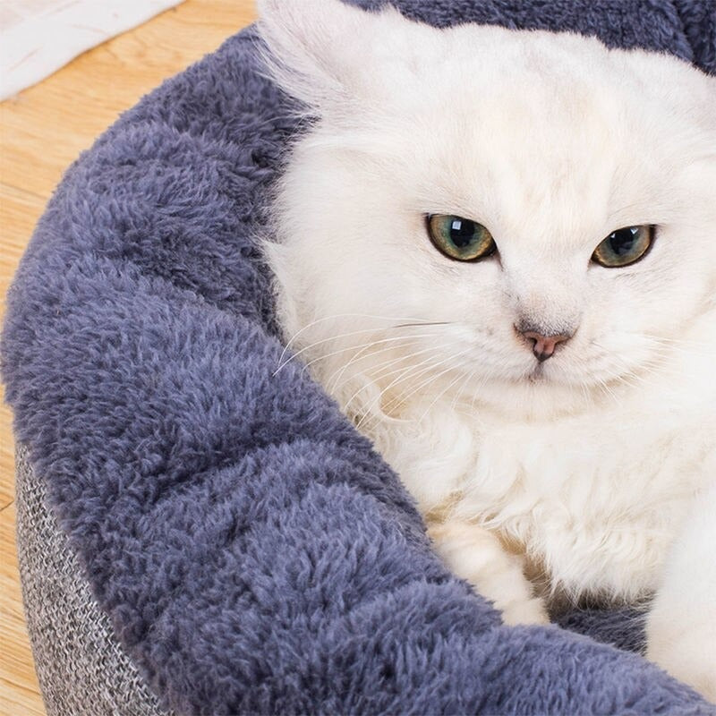 Home Sofa For Cats Mat