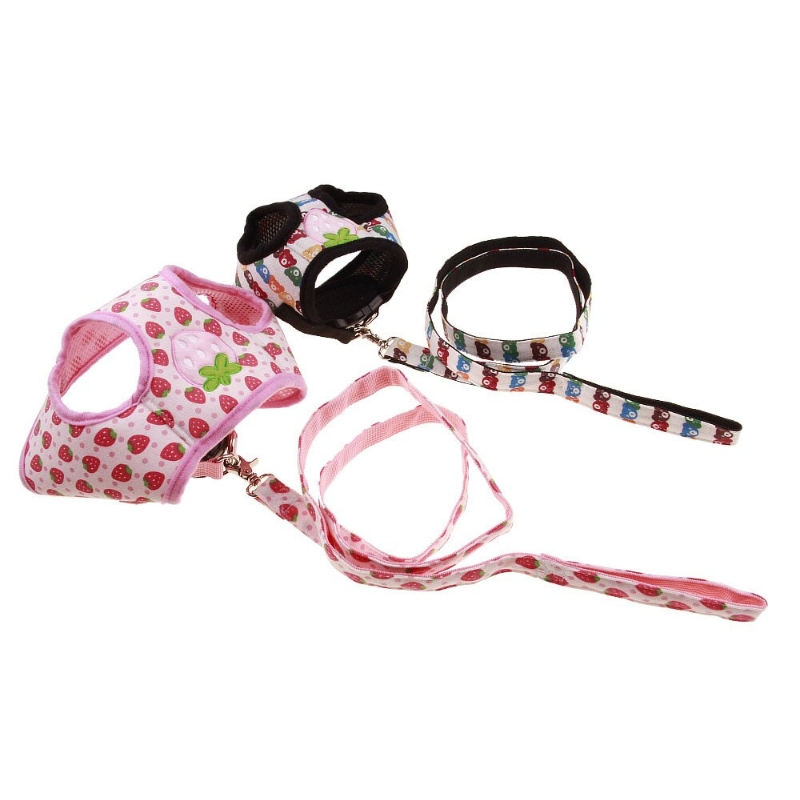 Dog Harness Vest Leash Set