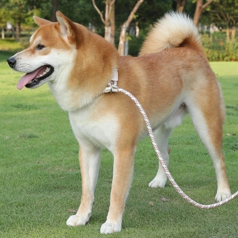 Minimalist Nylon Solid Color Leash