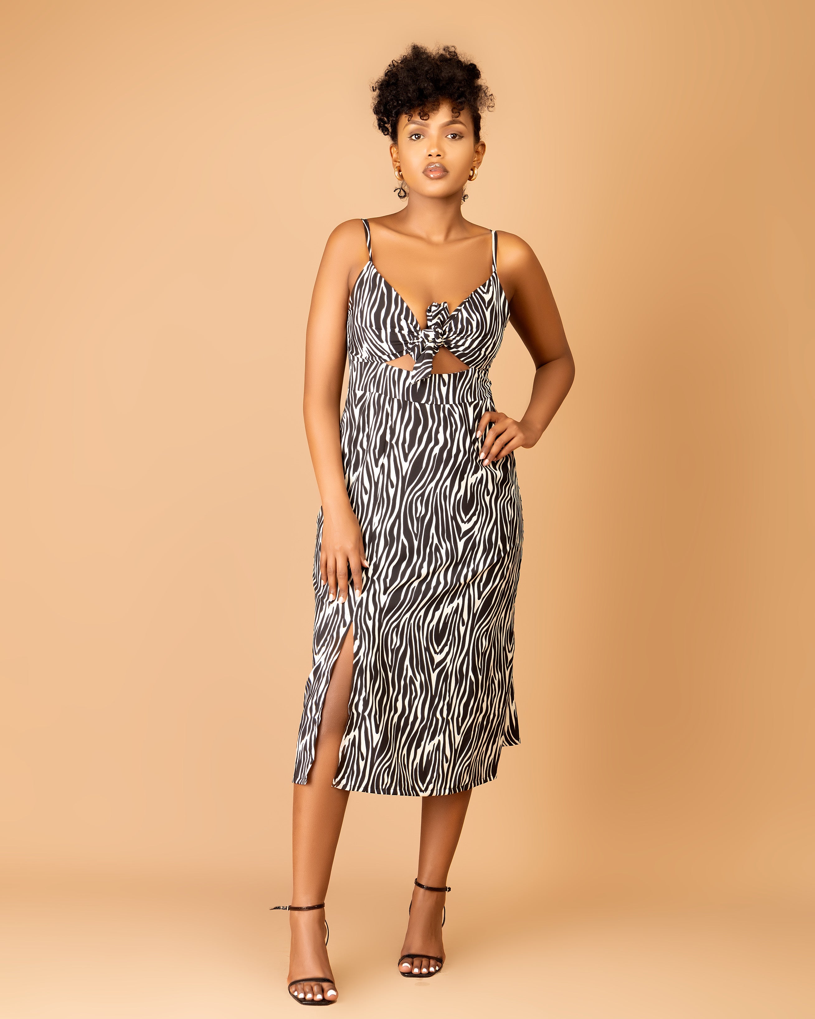 Tiger Print Tie Front Midi Dress