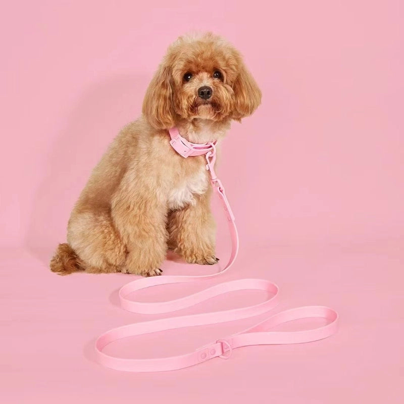 New Style Waterproof And Washable Dog Collar Leash