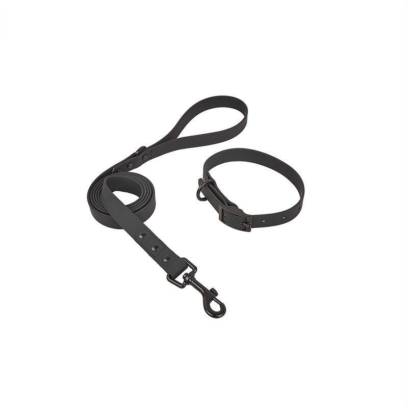 New Style Waterproof And Washable Dog Collar Leash