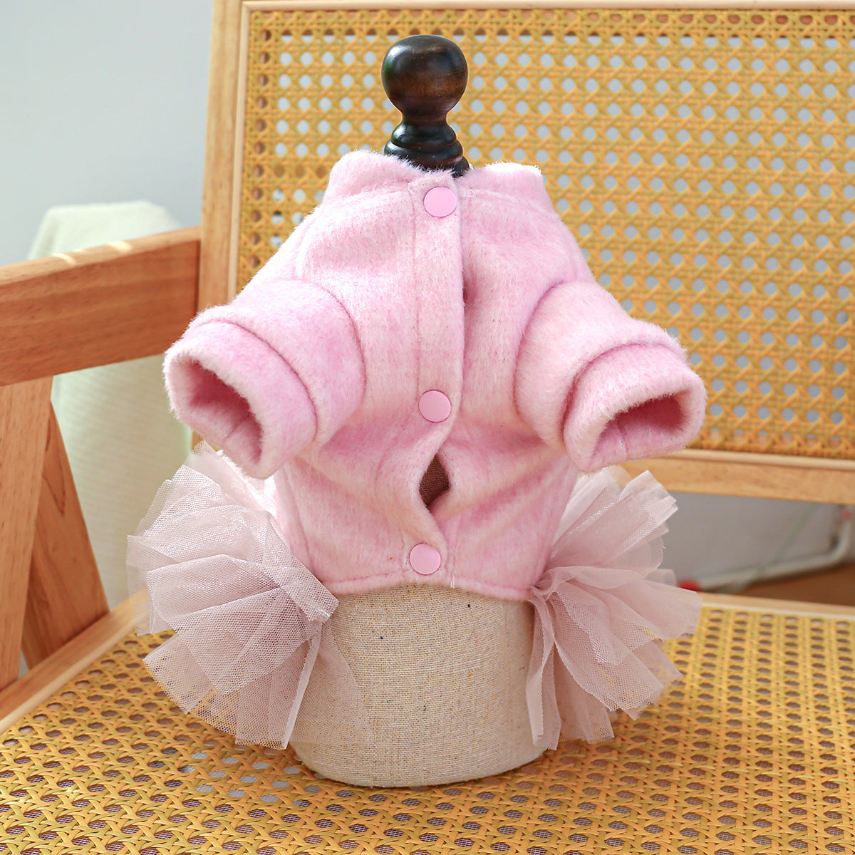 Crown Printed Warm Dog Lace Dress