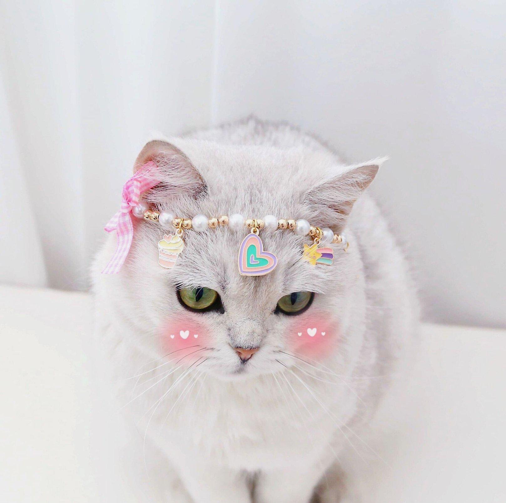 Cute Adjustable Ice-cream Strawberry & Duck Pet Necklace