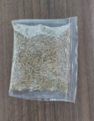 🔥 🌱 Evergreen dwarf grass seed for four seasons🌾 | Create your perfect lawn here🌼