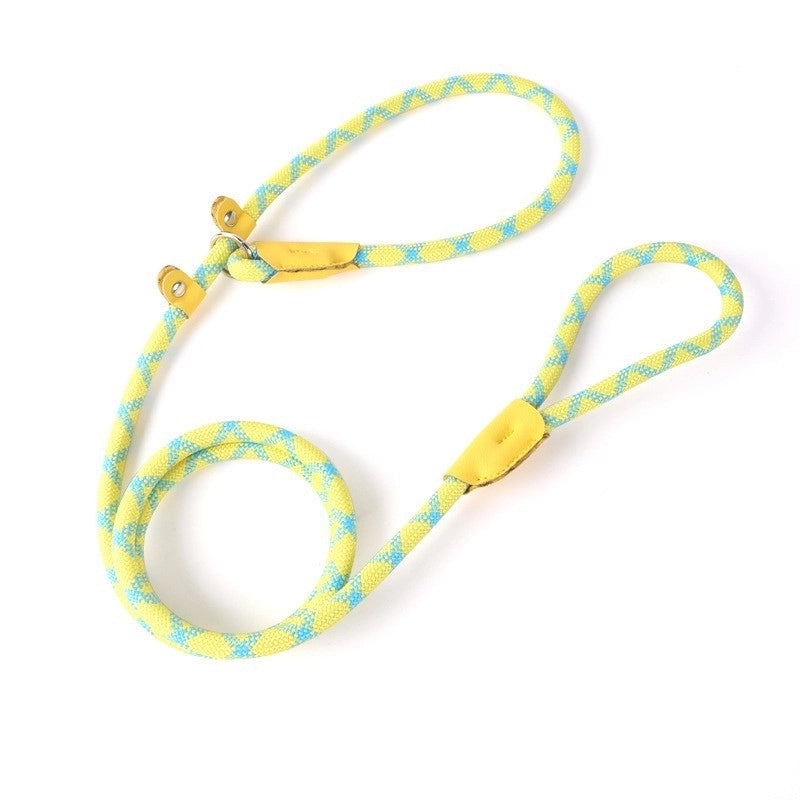 Minimalist Nylon Solid Color Leash