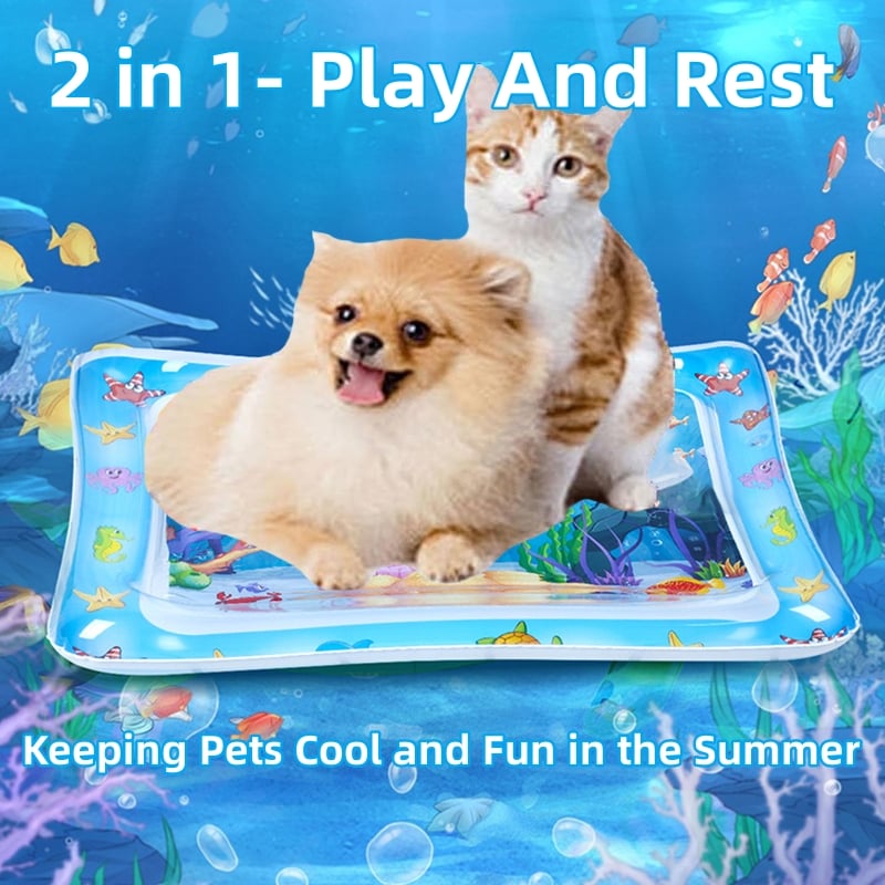 🔥😻Pet Water Sensory Mat🎉
