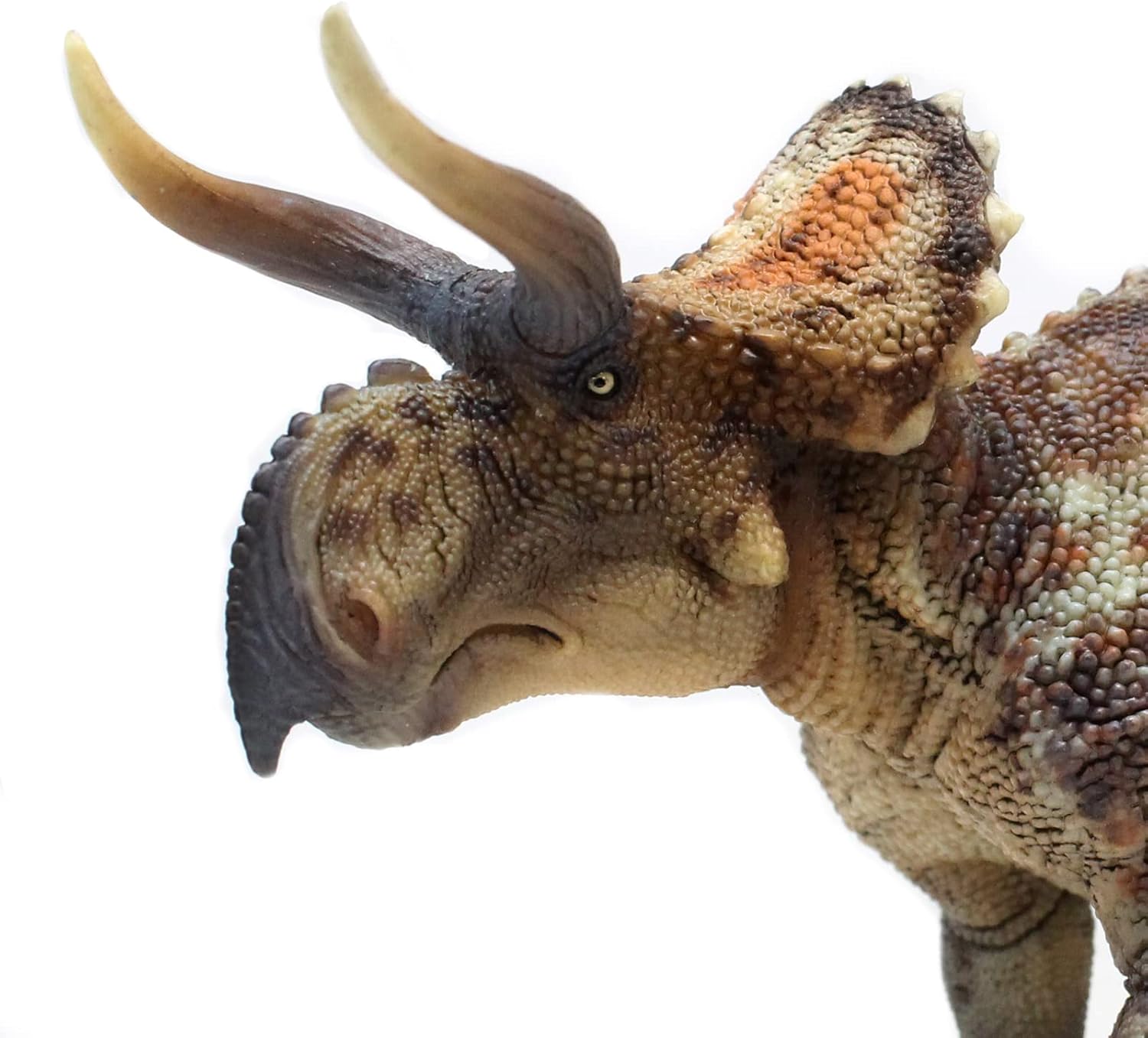 Series（Nasutoceratops 1：35 Science and Art Model） Multicolor
