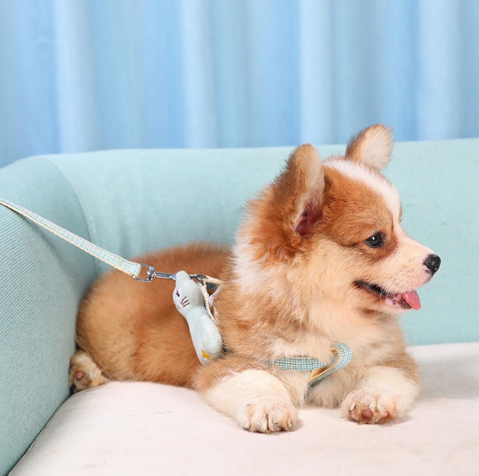 Stunning Pet Leash with Embroidered Cartoon