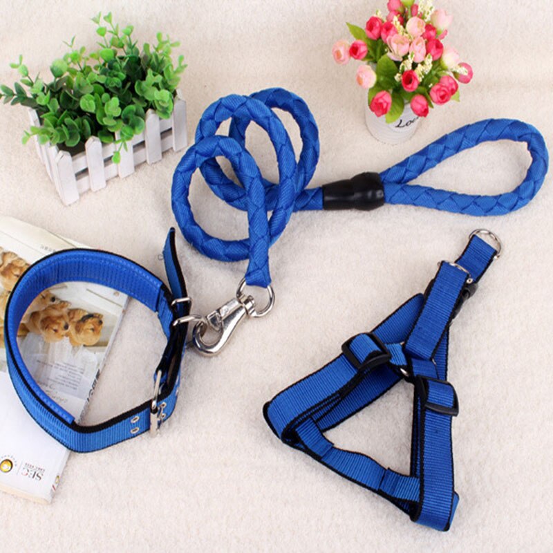 Dog Leash Harness Collar