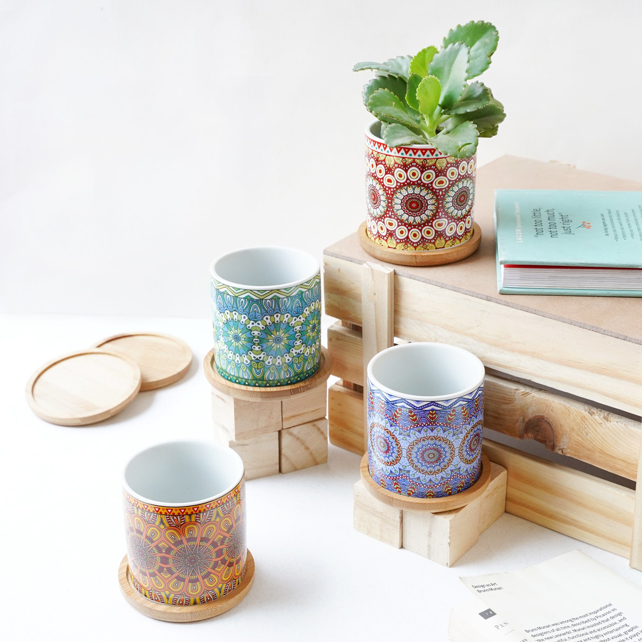 House Plant Pots