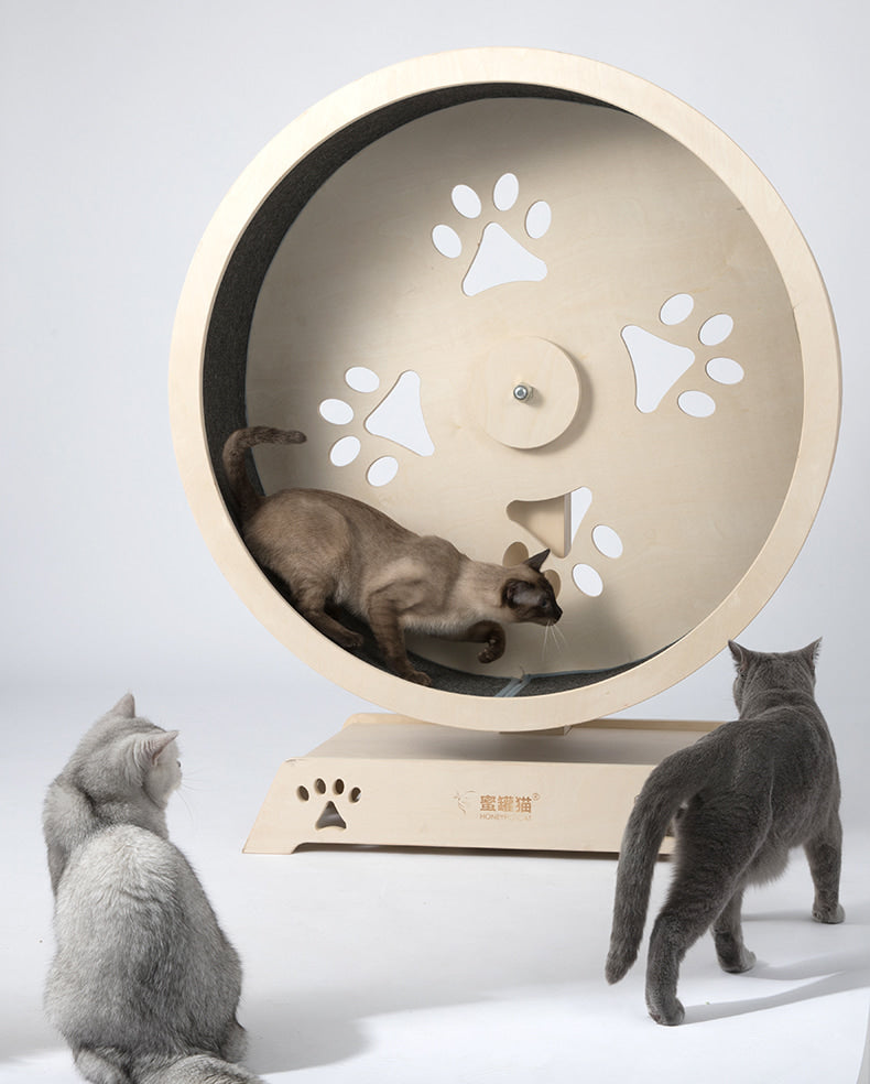 HONEYPOT PurrfectRunner Swirl & Scratch Cat Running Wheel