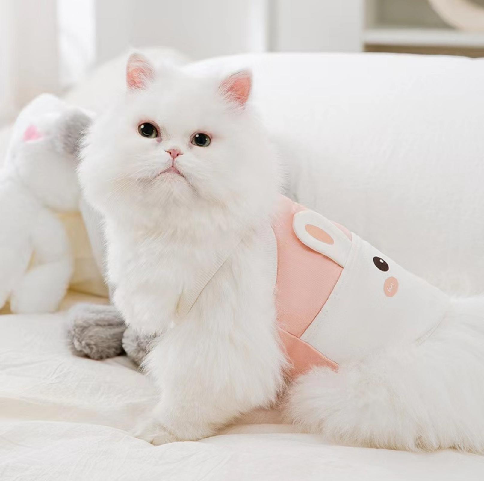 Adorable Bunny-Themed Pet Summer Vest