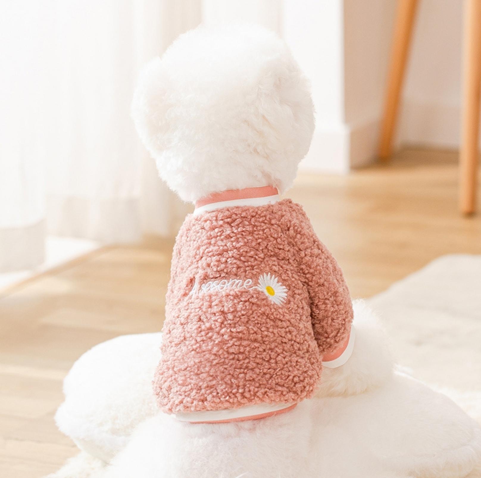 Daisy-Embroidered Wool Fleece Apparel for Dogs and Cats