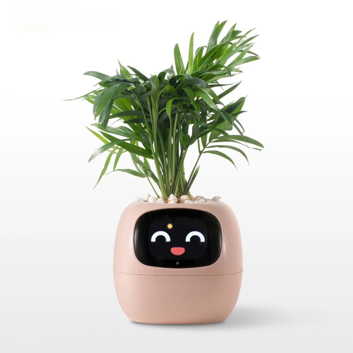 Plant Buddy - AI Smart Planter