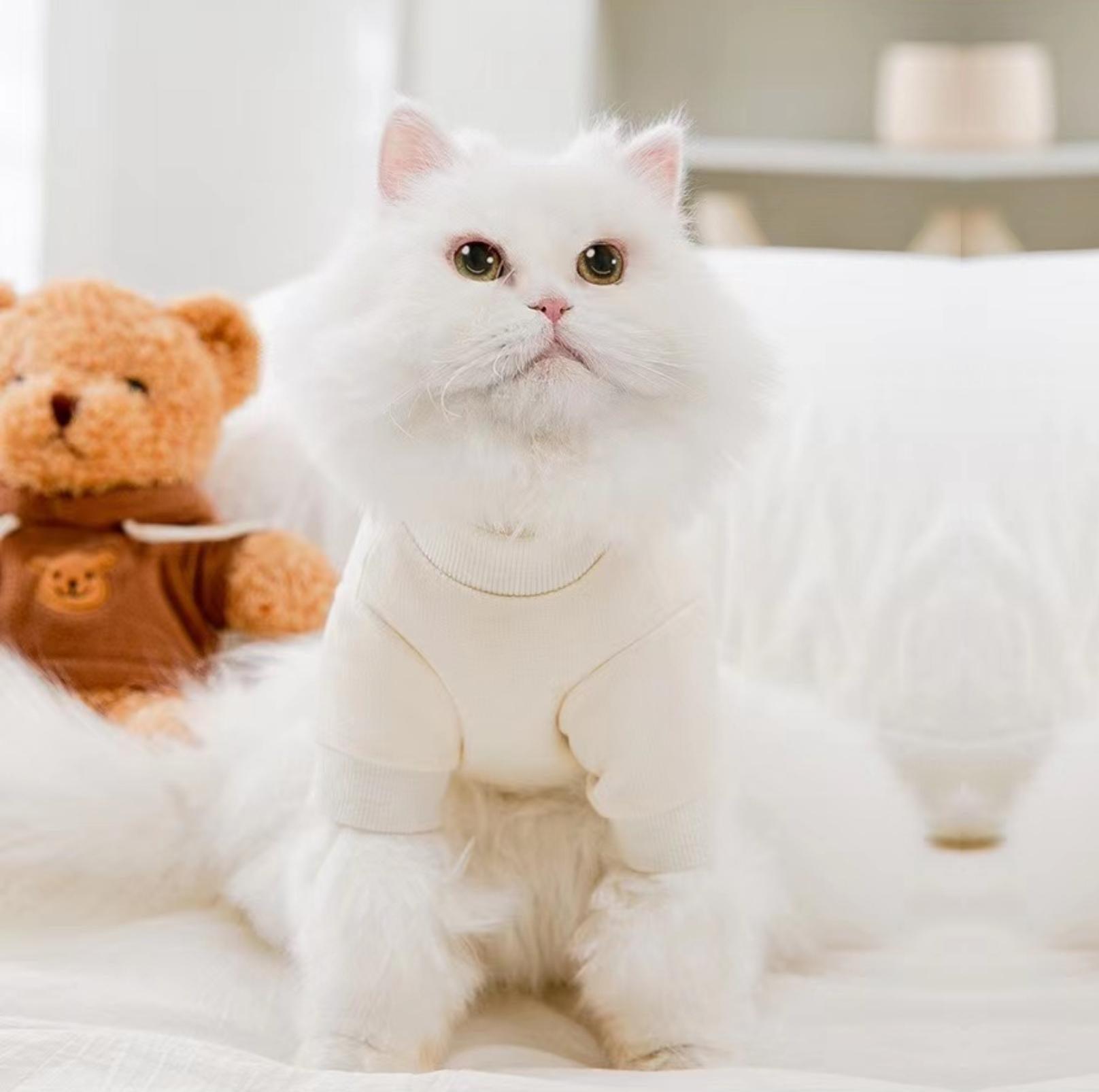 Cartoon Bear Pattern Striped Summer Pet T-Shirt