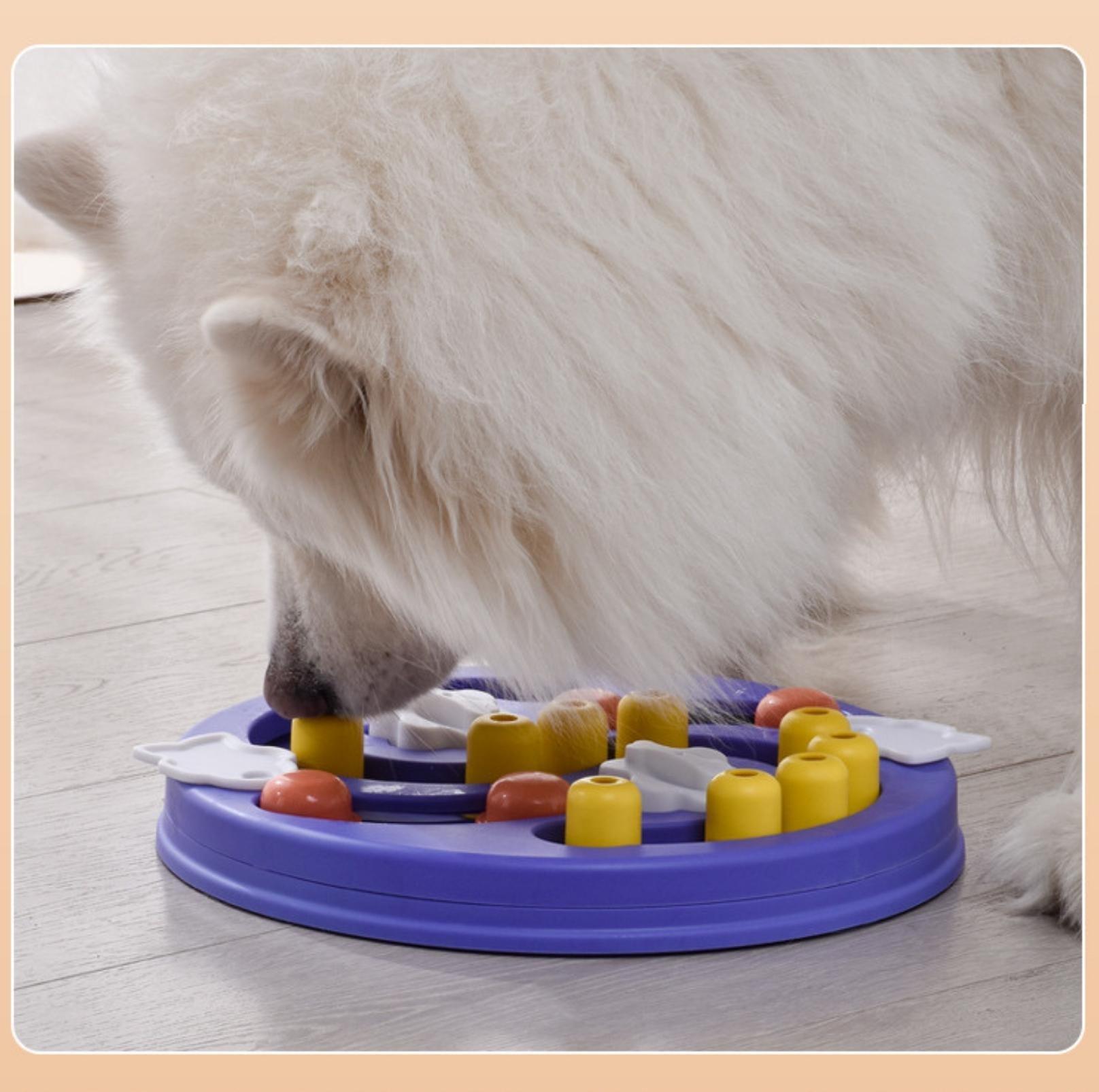 Interactive Colourful Dog Puzzle Training Toy