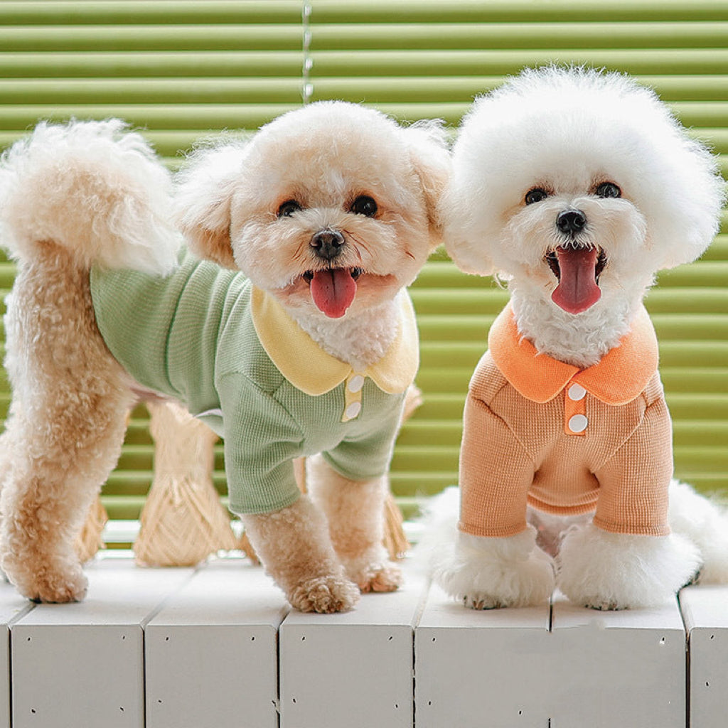 Bowknot Design Collar Dog Cat Sweater