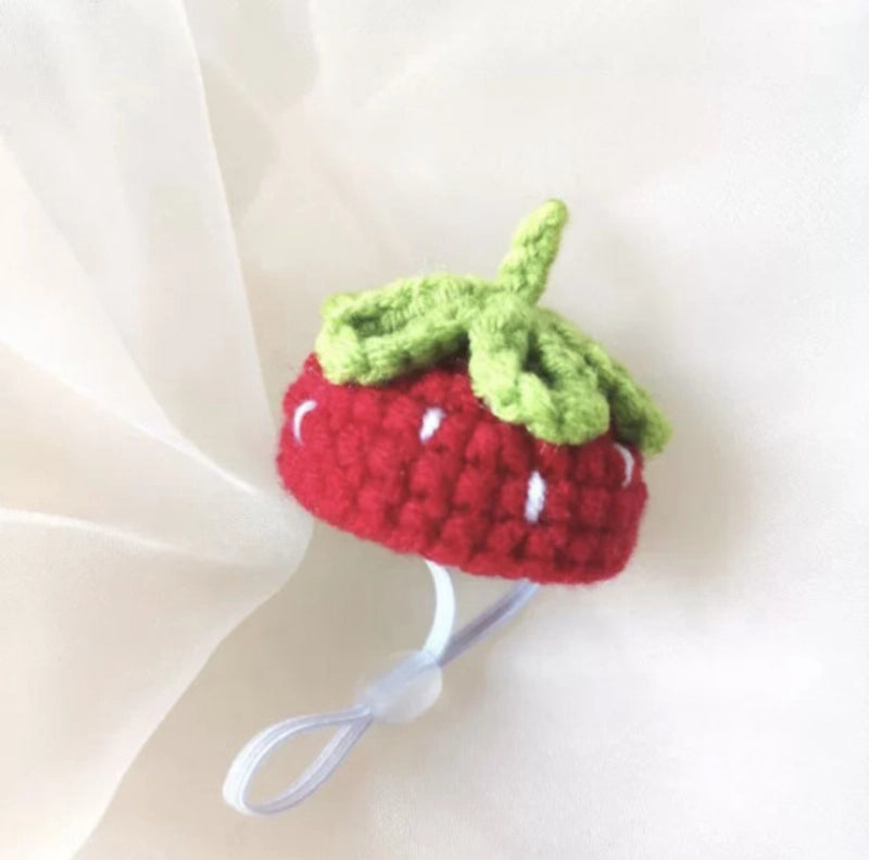 Cute Acrylic Animal Pet Hat