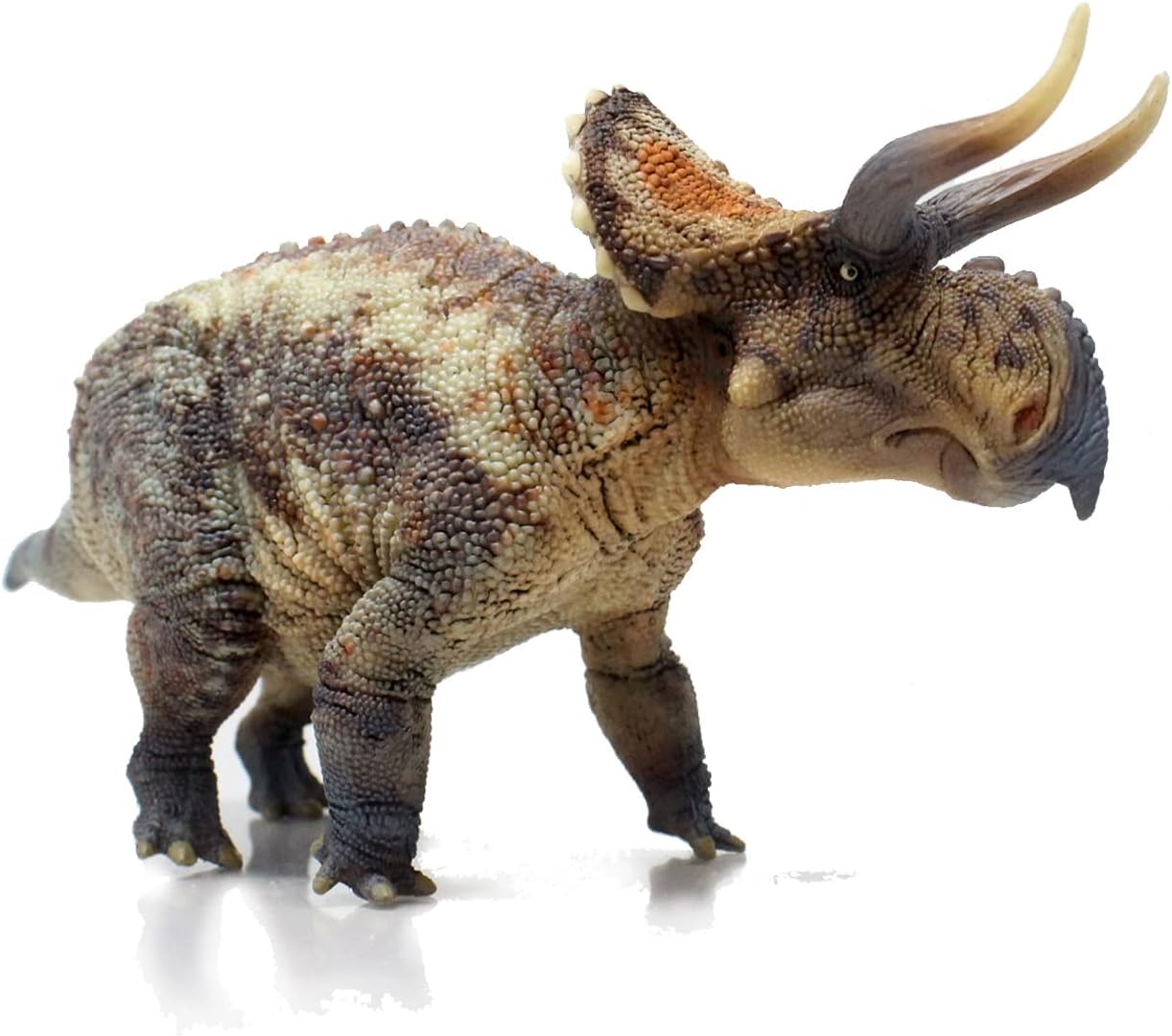 Series（Nasutoceratops 1：35 Science and Art Model） Multicolor