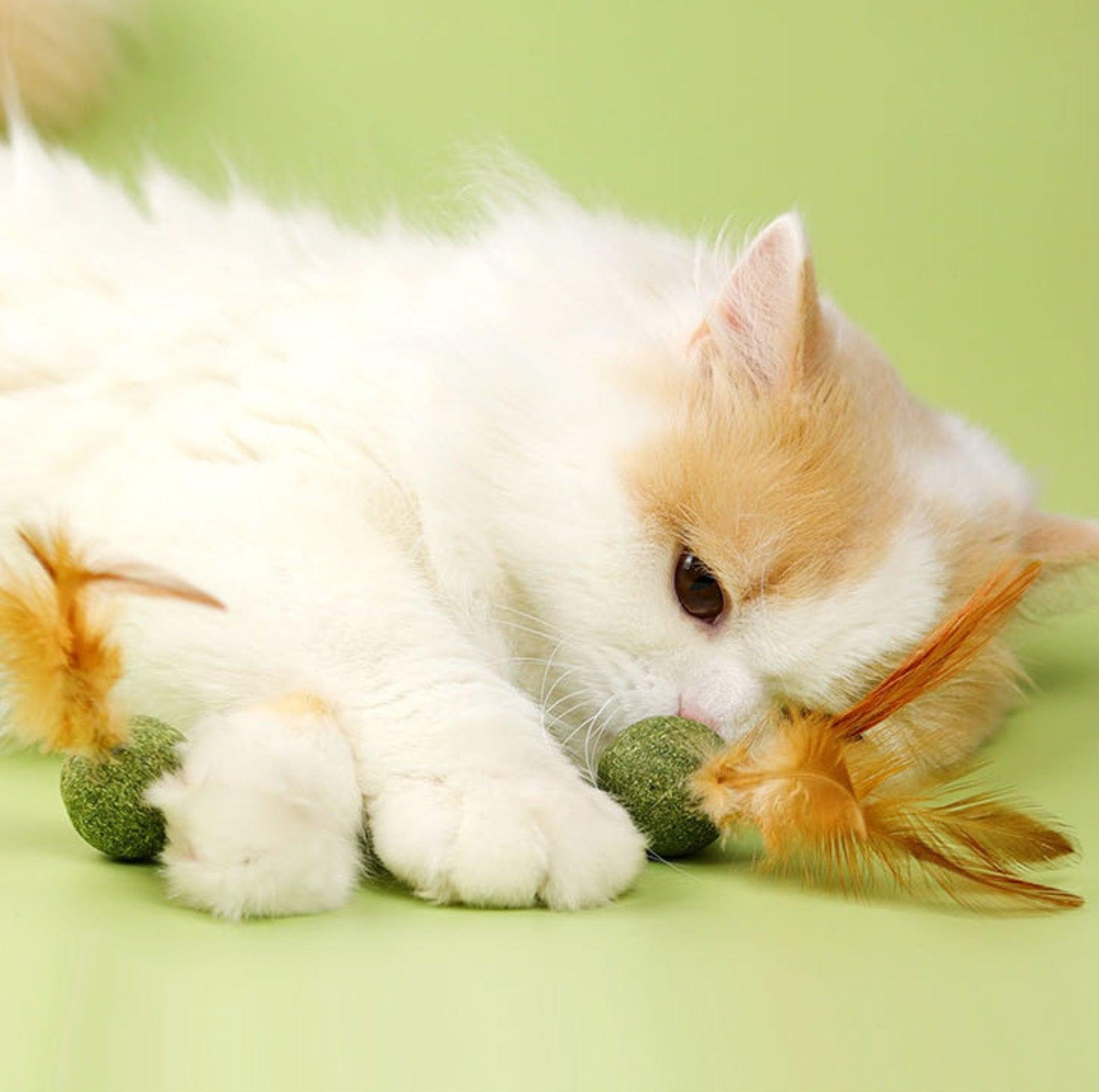Catnip Cat Toy with Feathers