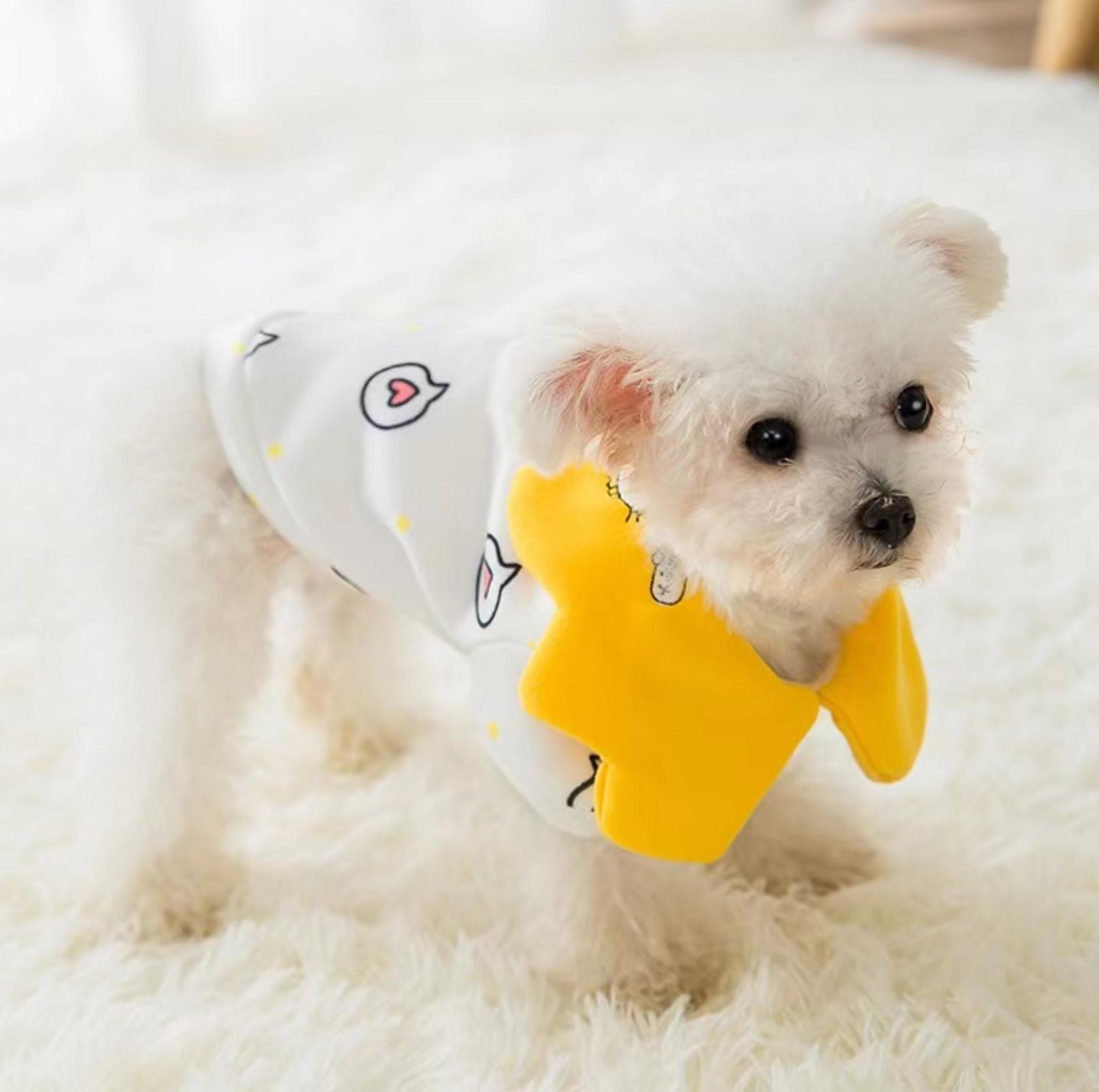 Spring Heart Dot Cartoon Pet Sweatshirt