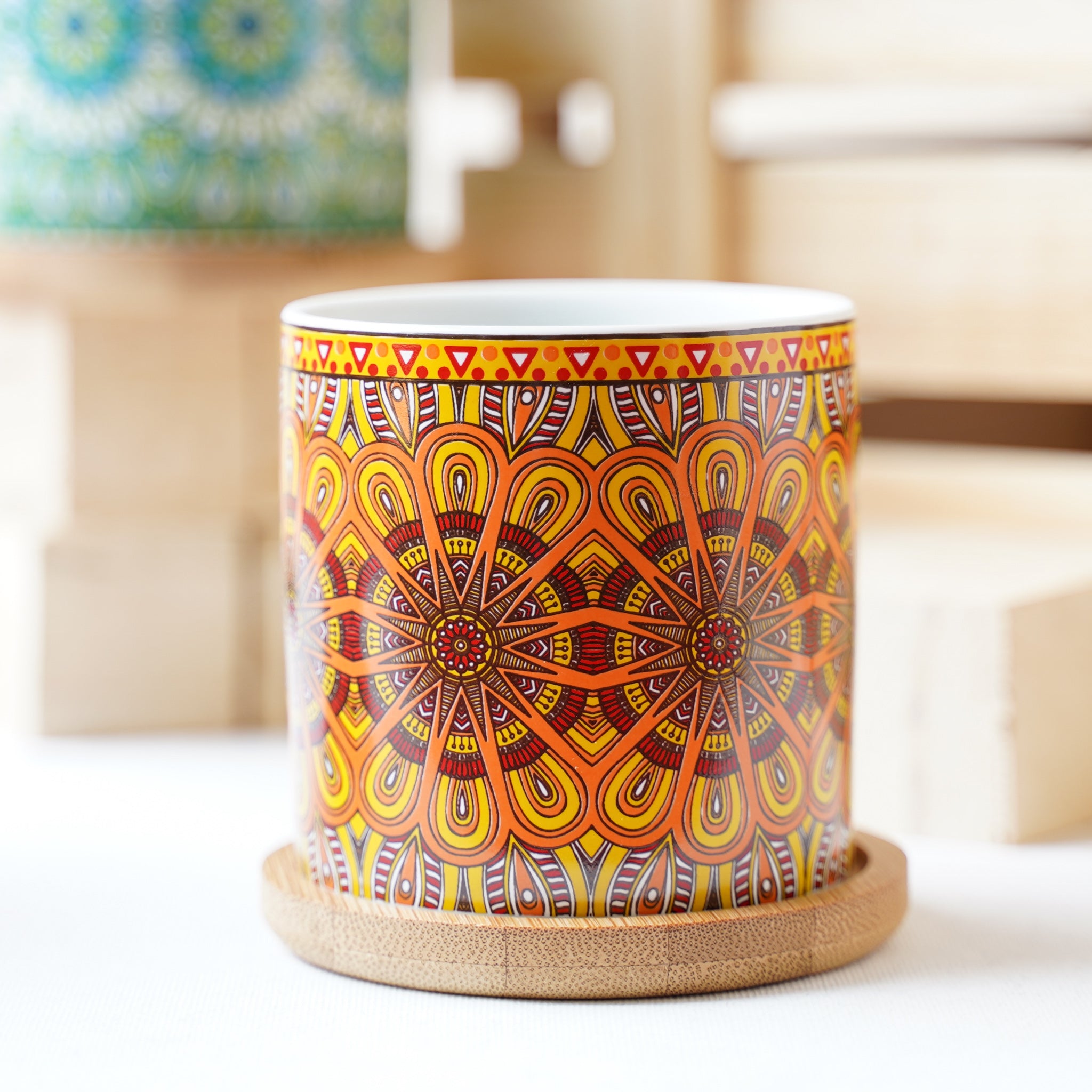 House Plant Pots