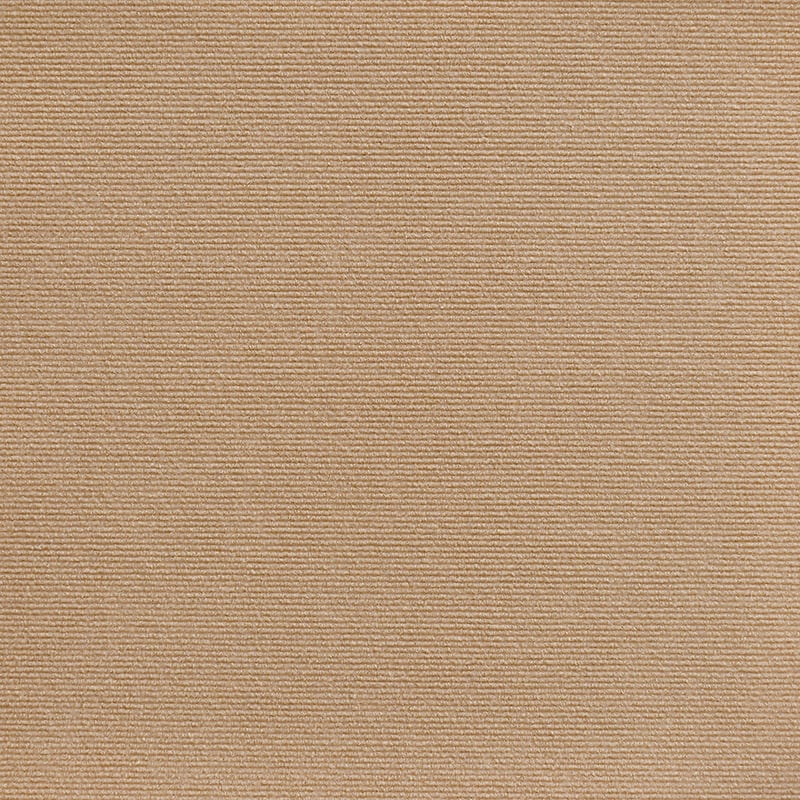 🔥HOT SALE -48% 🔥 Can Protect Furniture - Cat Scratching Mat