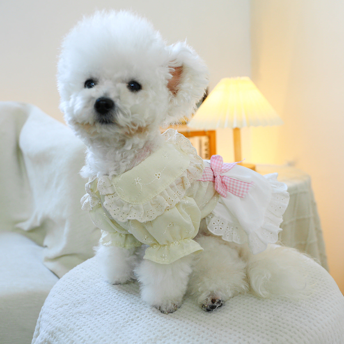 Sweet Bear Lace Bow Dog Dress Harness