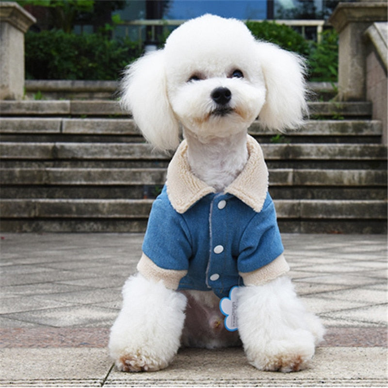 Furry Denim Dog Jacket Coat