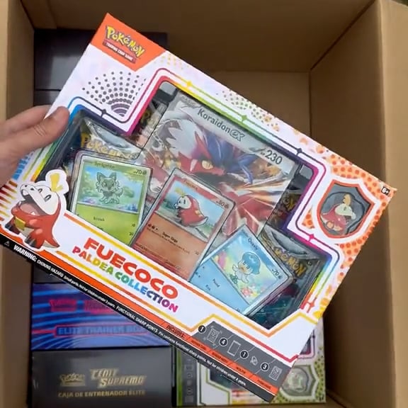 The Pokemon Mystery Boxes