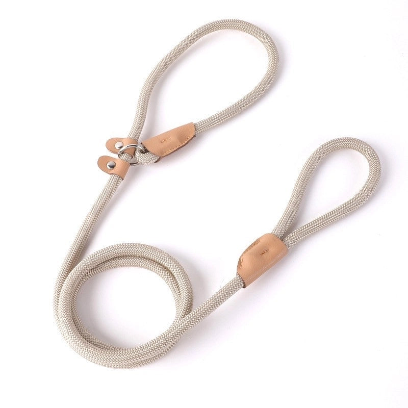 Minimalist Nylon Solid Color Leash