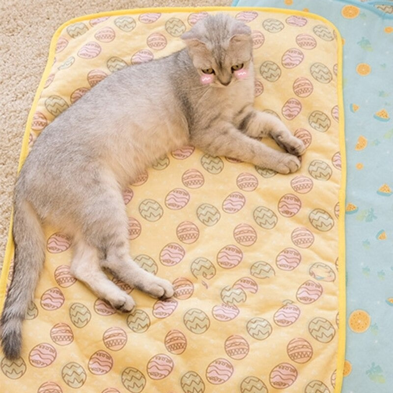 Indoor Outdoor Sleeping Cat Mat