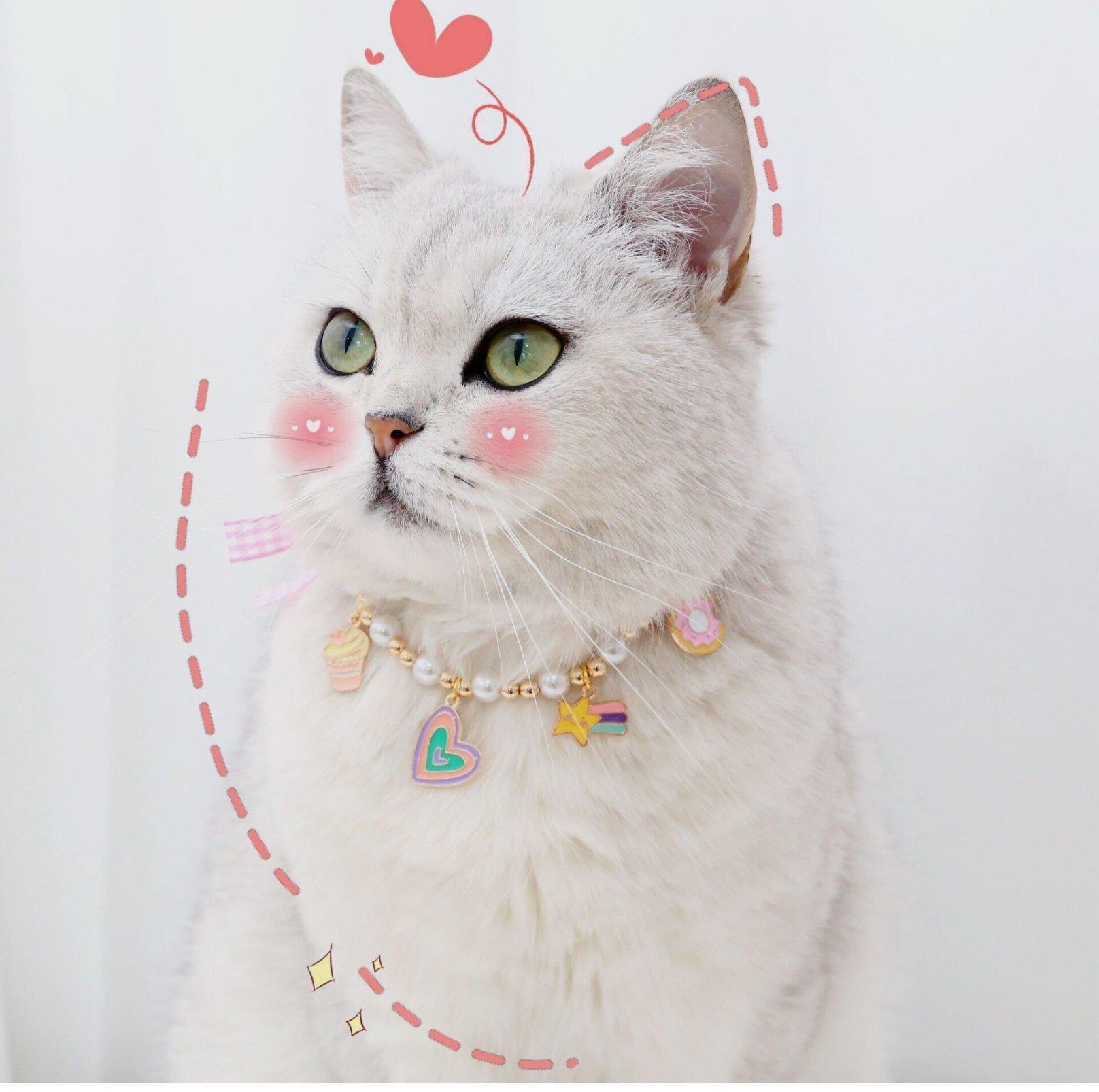 Cute Adjustable Ice-cream Strawberry & Duck Pet Necklace