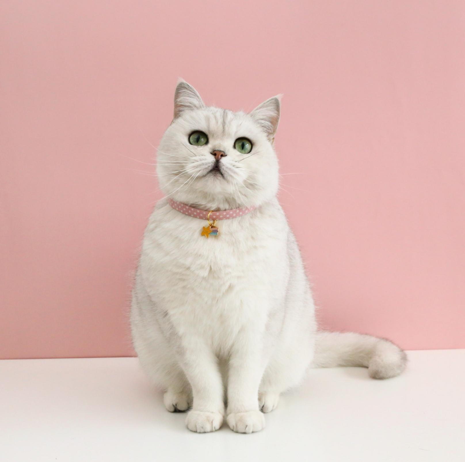 Adjustable Pet Collar with Lovely Charm and Copper Bell for Cats and Small Dogs