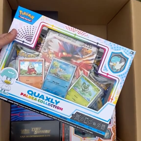 The Pokemon Mystery Boxes