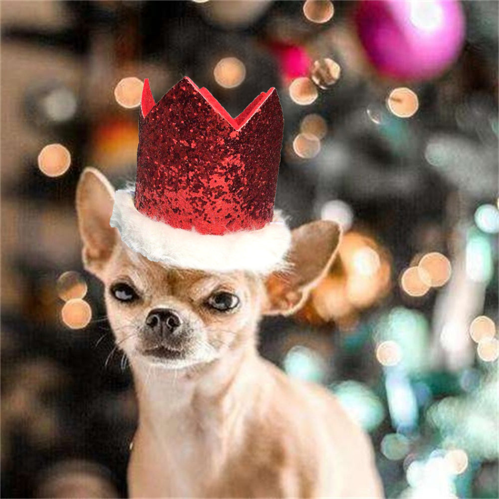 Christmas Costume Set For Dogs