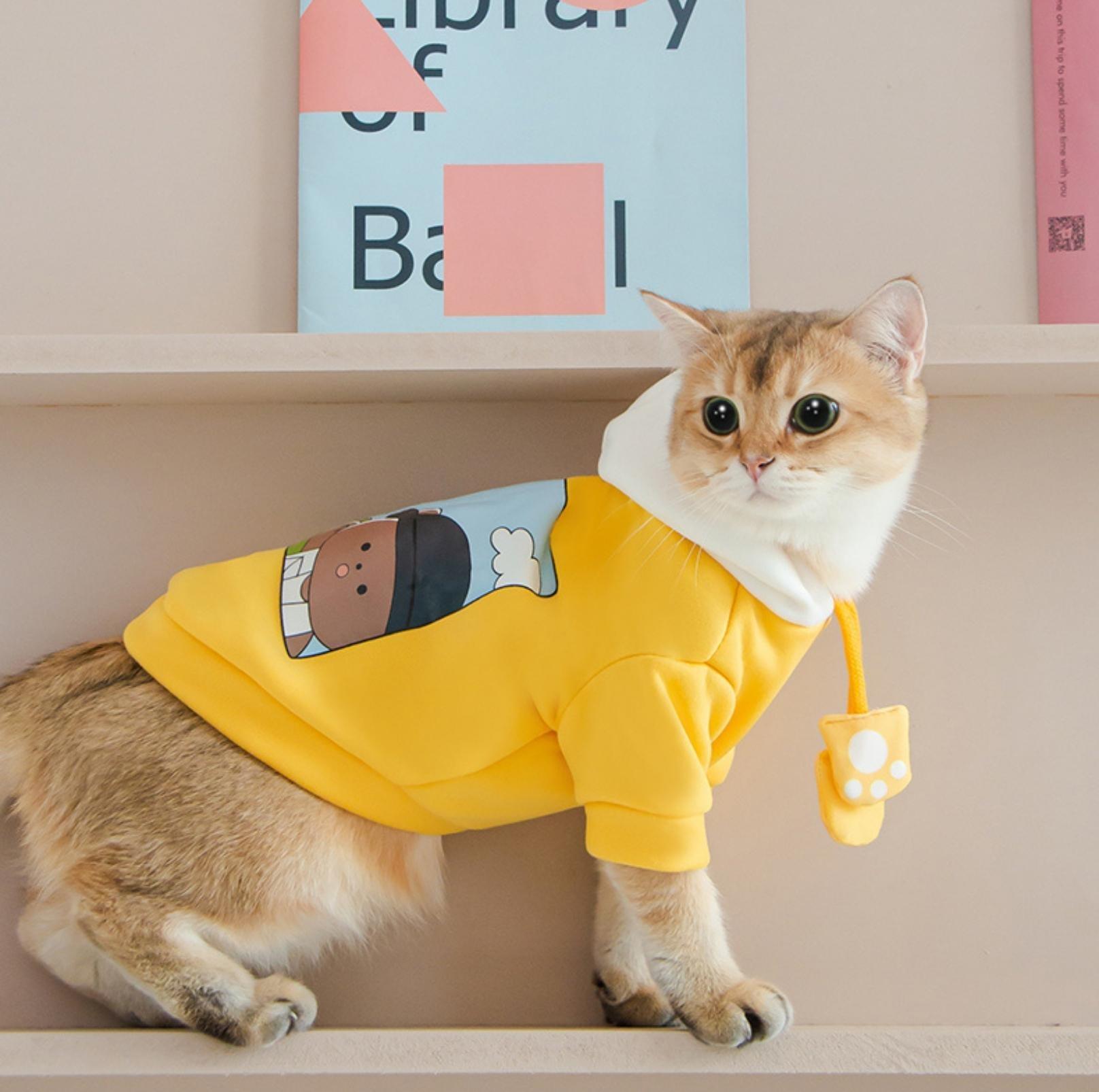 Adorable Bear Cartoon Hooded Pet T-Shirt