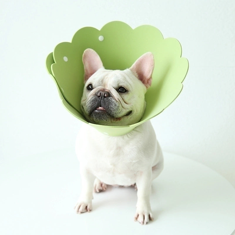 Minimalist Eva Solid Color Pet Collar
