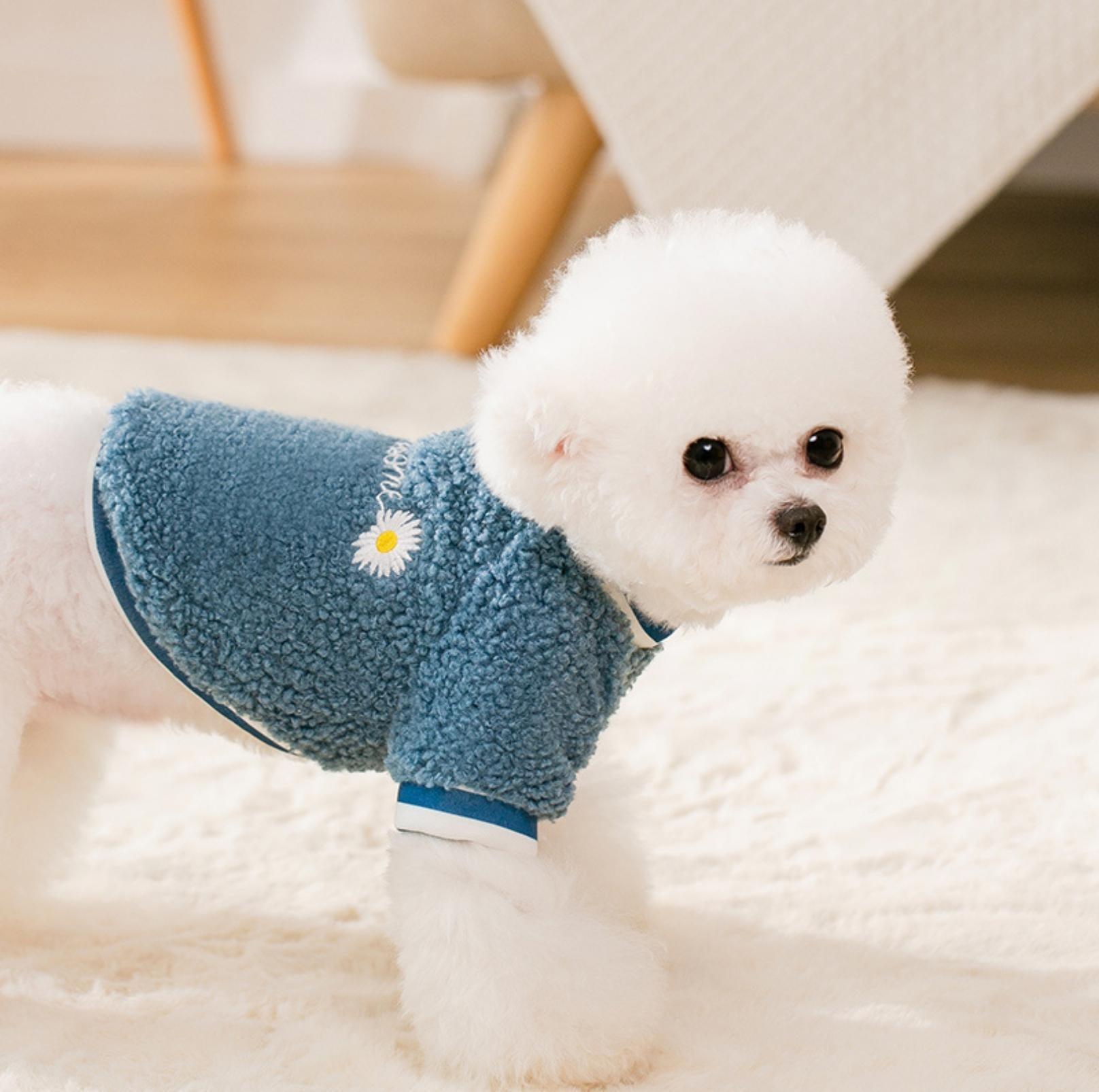 Daisy-Embroidered Wool Fleece Apparel for Dogs and Cats