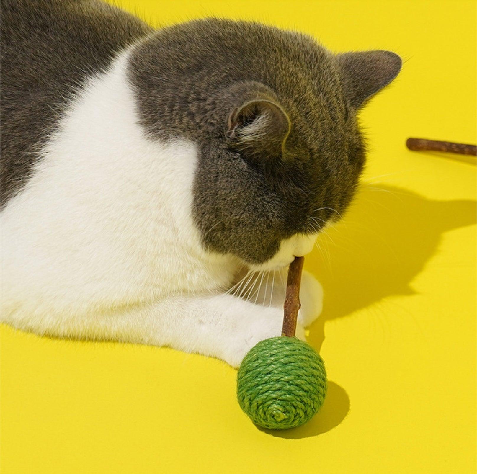 Lollipop-Shaped Polygonum Cat Toy Set (3 Pieces)